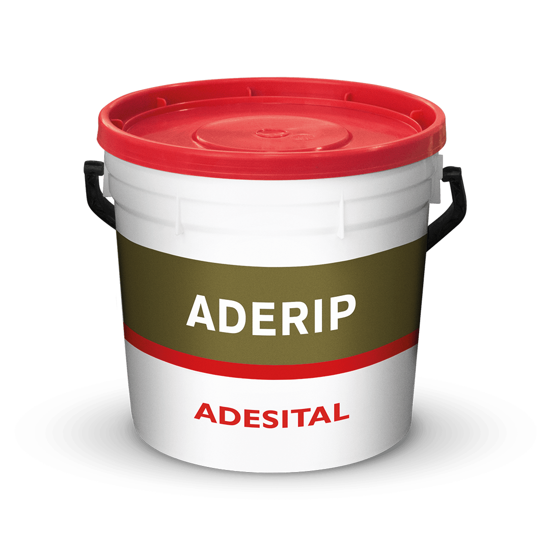 ADERIP - 1